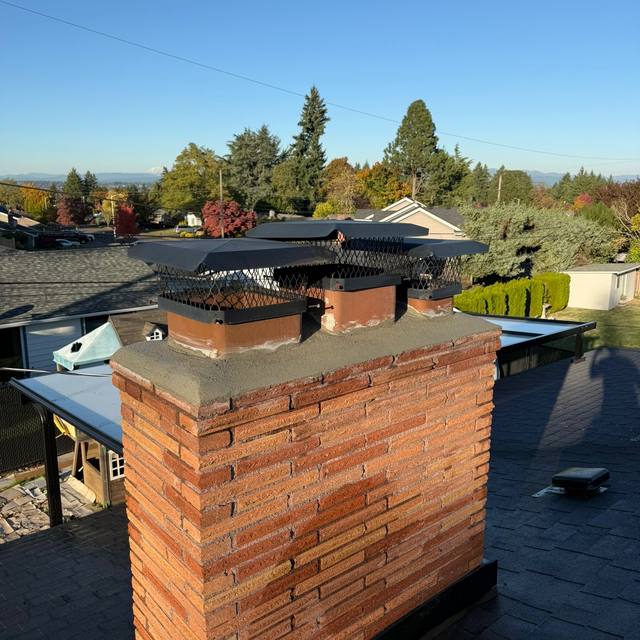 Forest Fresh chimney job in Portland